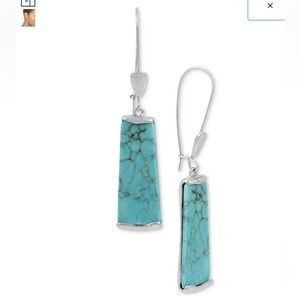 Robert Lee Morris Soho Turquoise Dangle Earrings